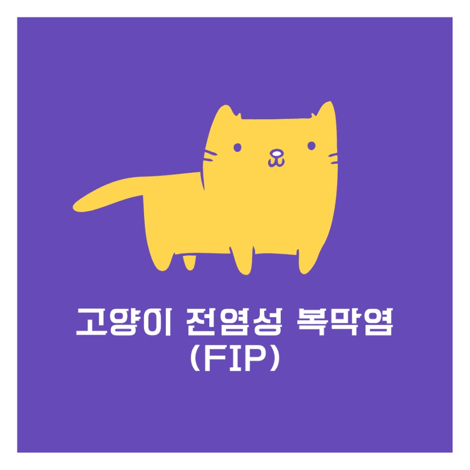 고양이 전염성 복막염(FIP)