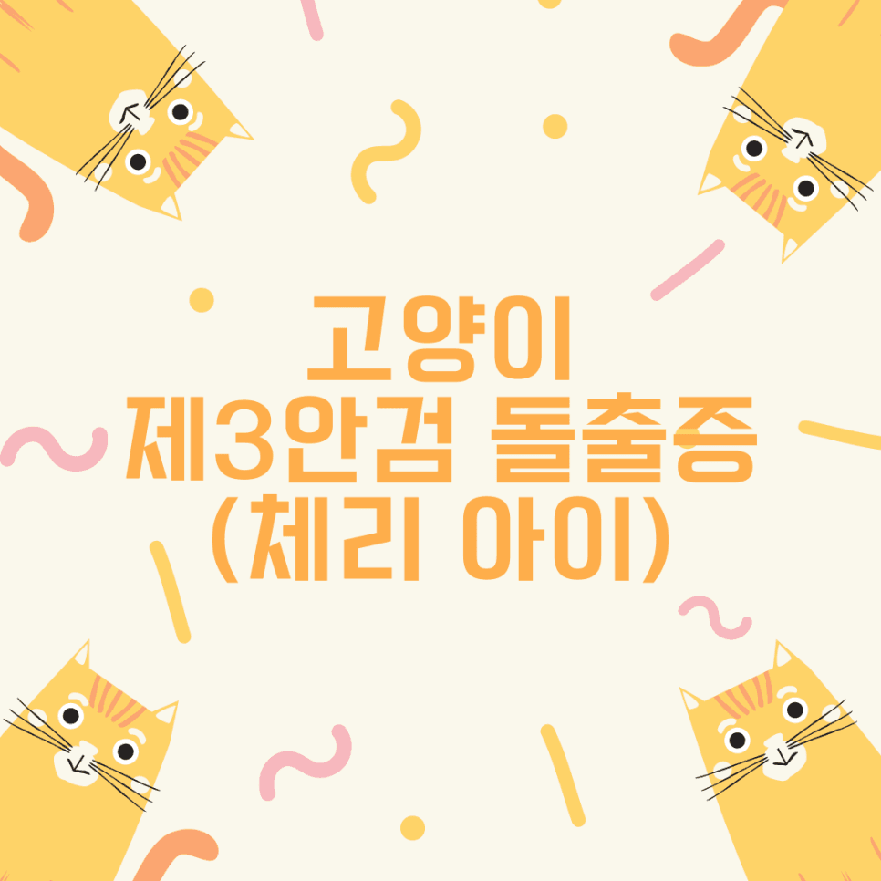 고양이 제3안검 돌출증(체리 아이)