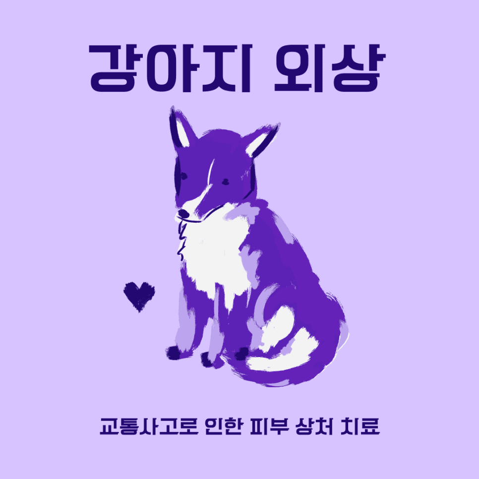 강아지 피부 외상