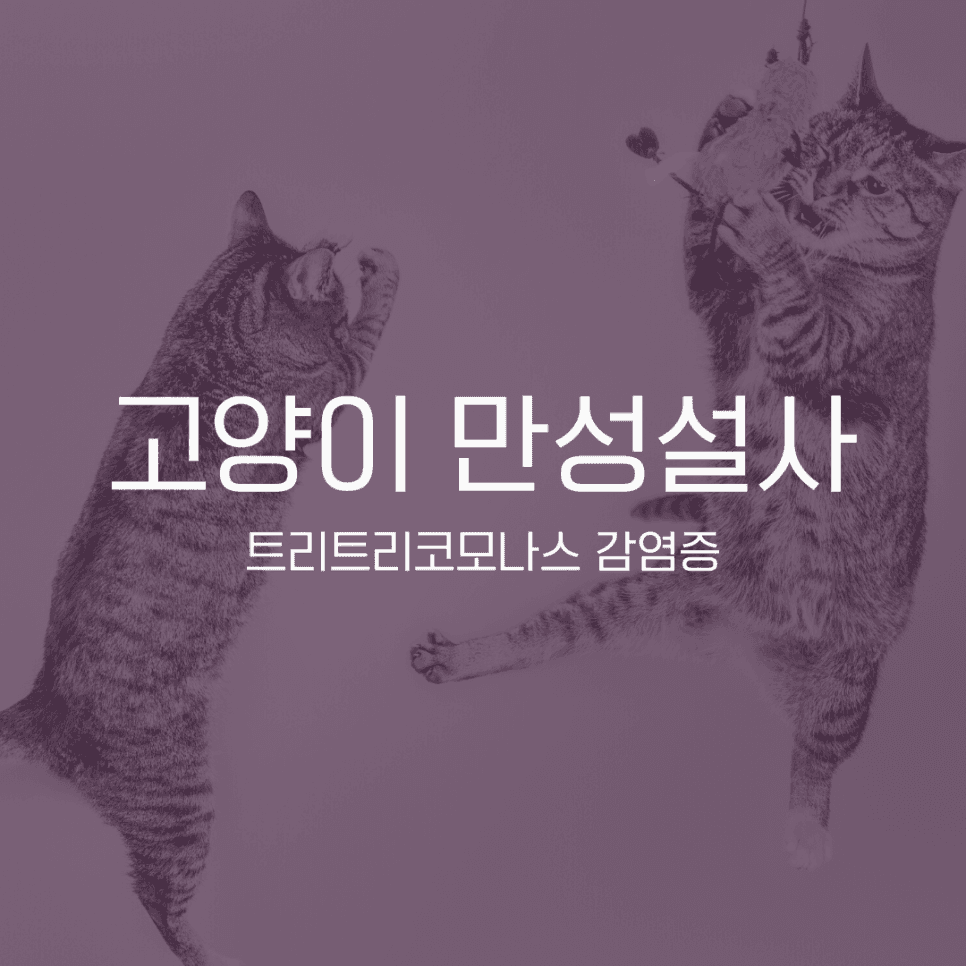 고양이 만성 설사(트리트리코모나스 감염증)