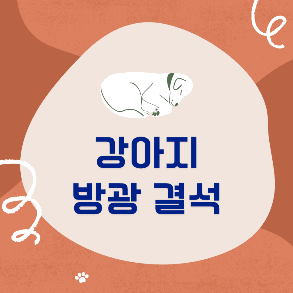 강아지 방광 결석