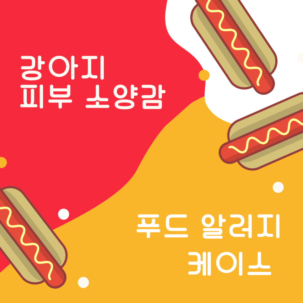 강아지 피부 푸드 알러지