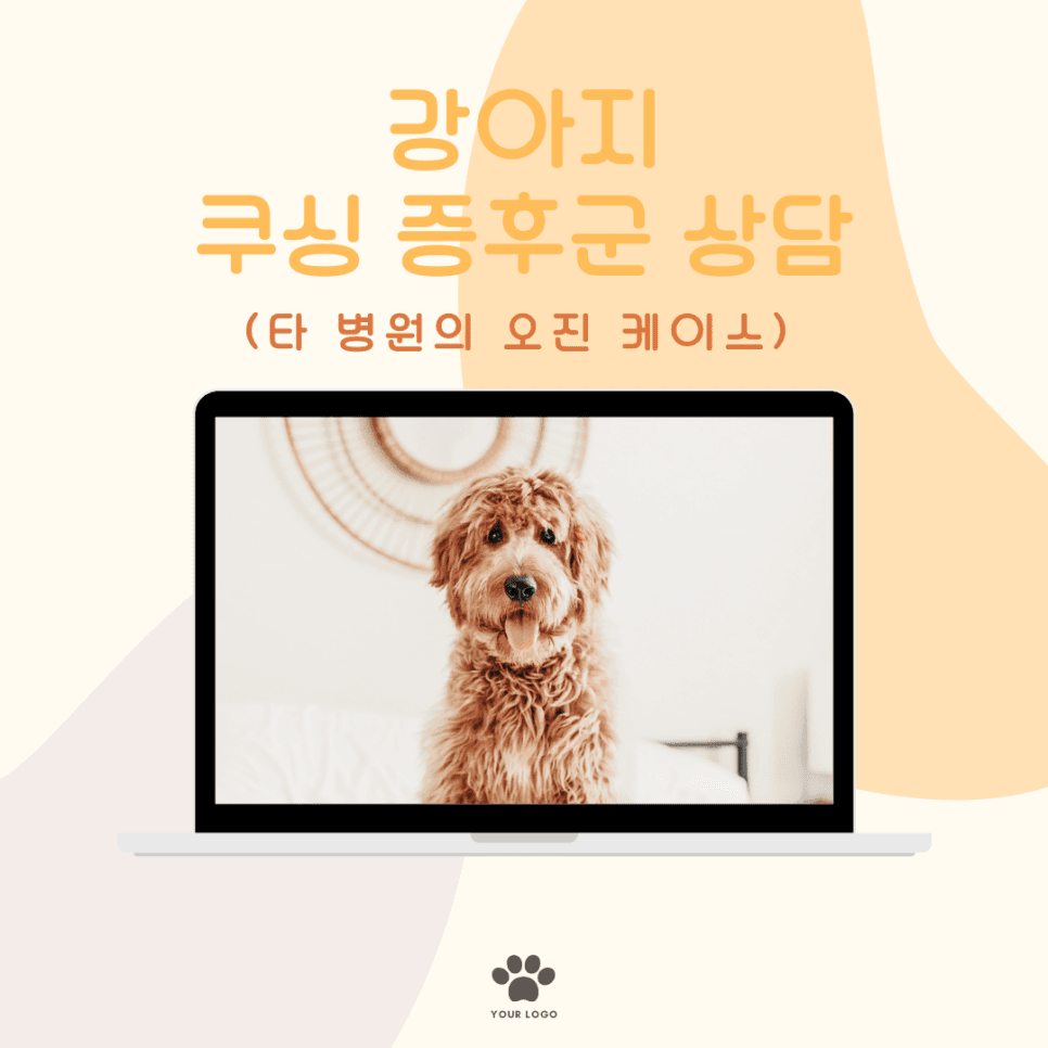 강아지 쿠싱 증후군 상담(타 병원의 오진)