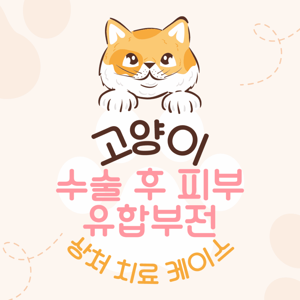 고양이 피부 유합부전 상처 치료