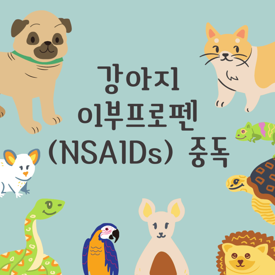 강아지 이부프로펜(NSAIDs) 중독