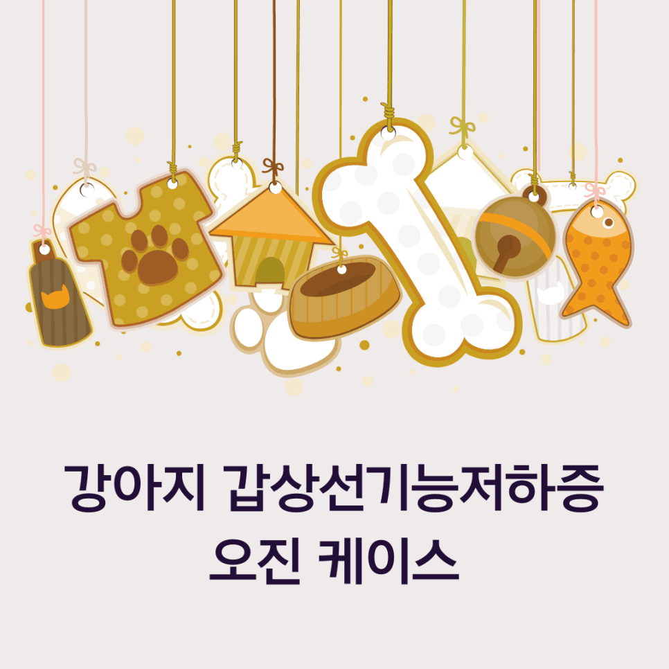 강아지 갑상선기능저하증 상담(타 병원의 오진)