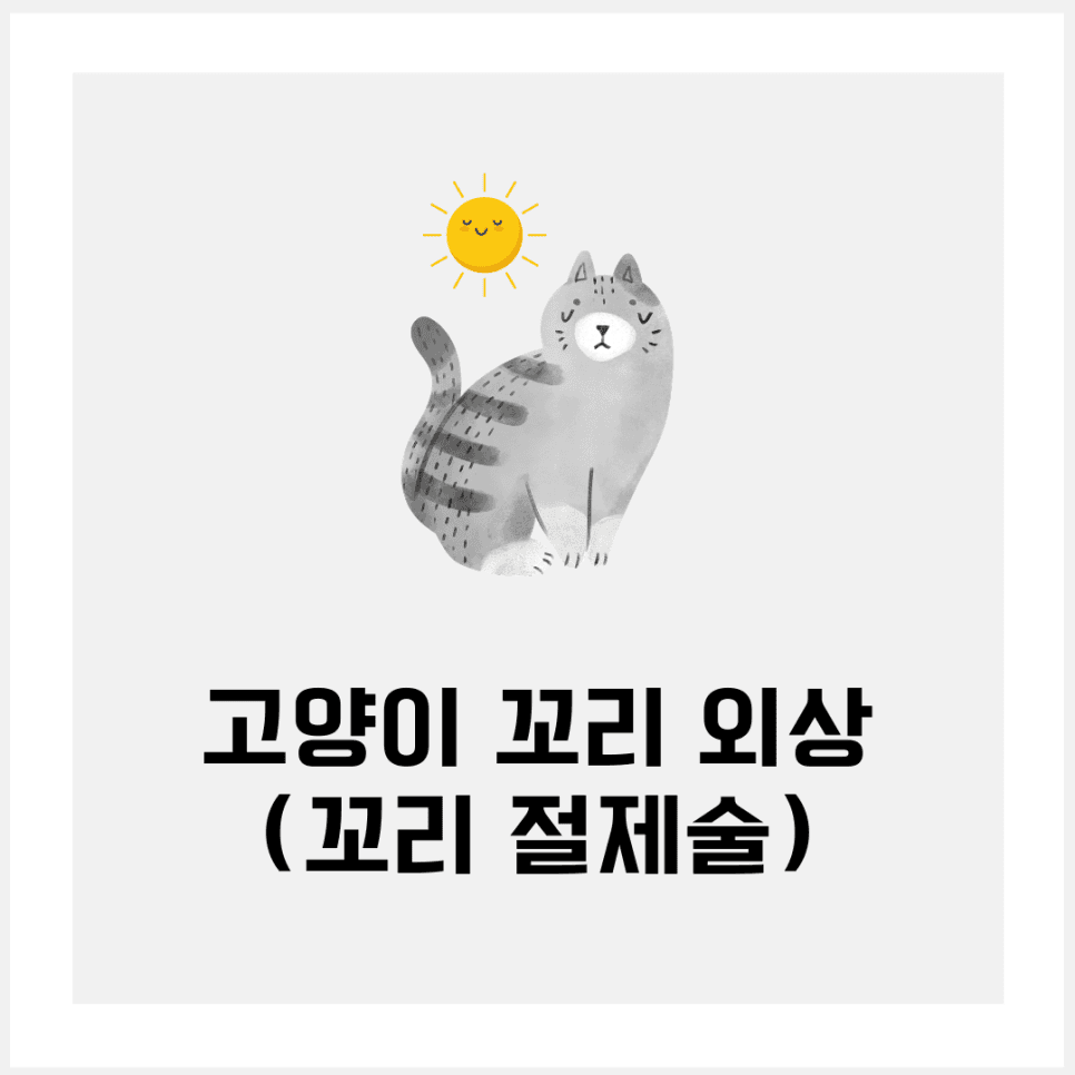 고양이 꼬리 외상(꼬리절제술)
