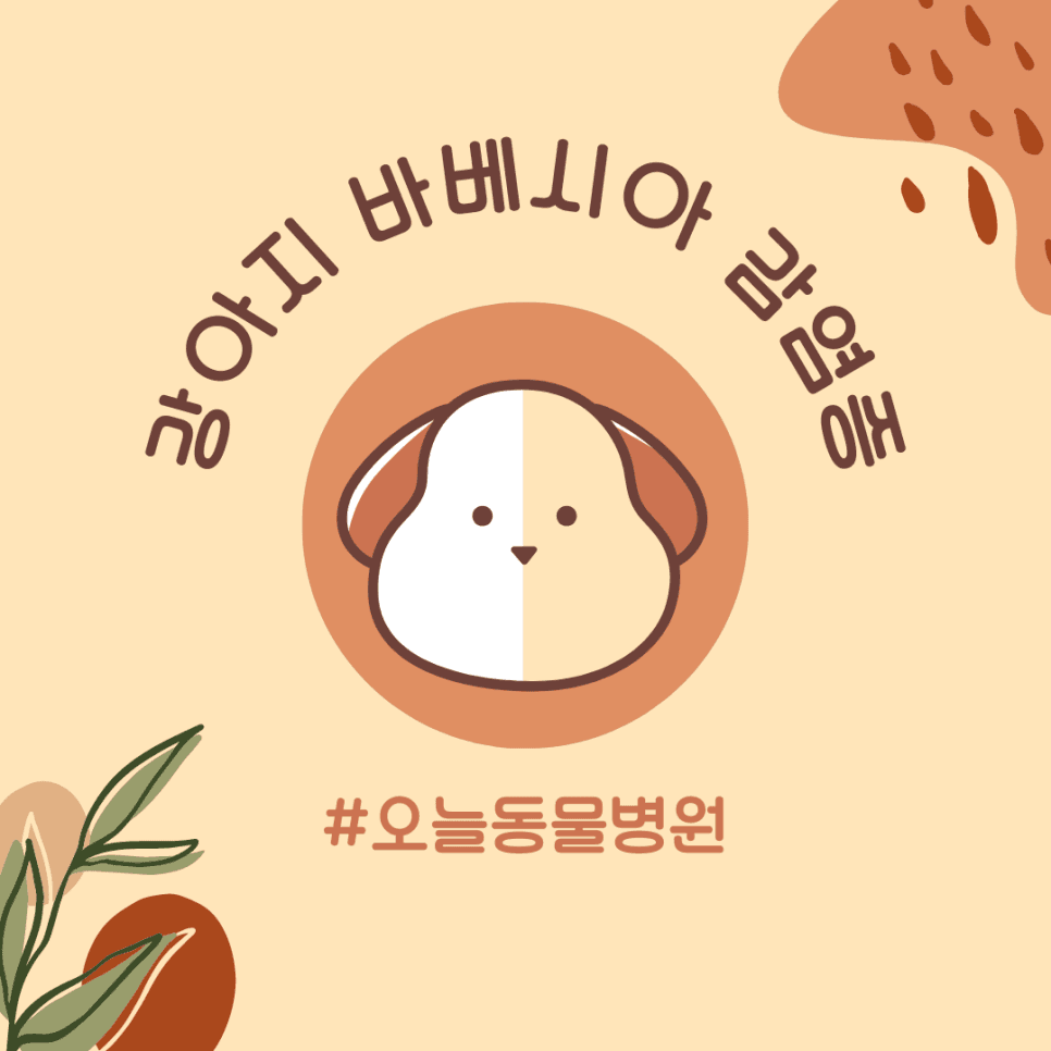 강아지 바베시아 감염증