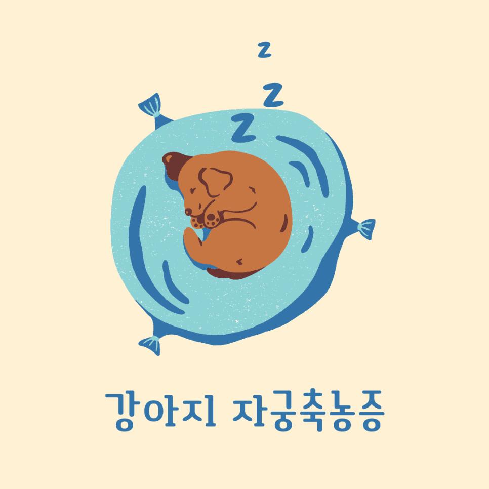 강아지 자궁축농증
