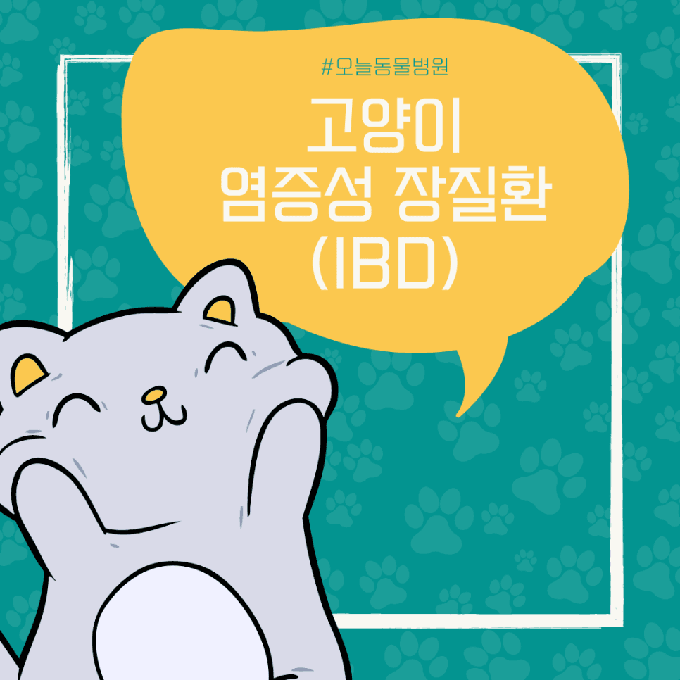고양이 염증성 장질환(IBD)