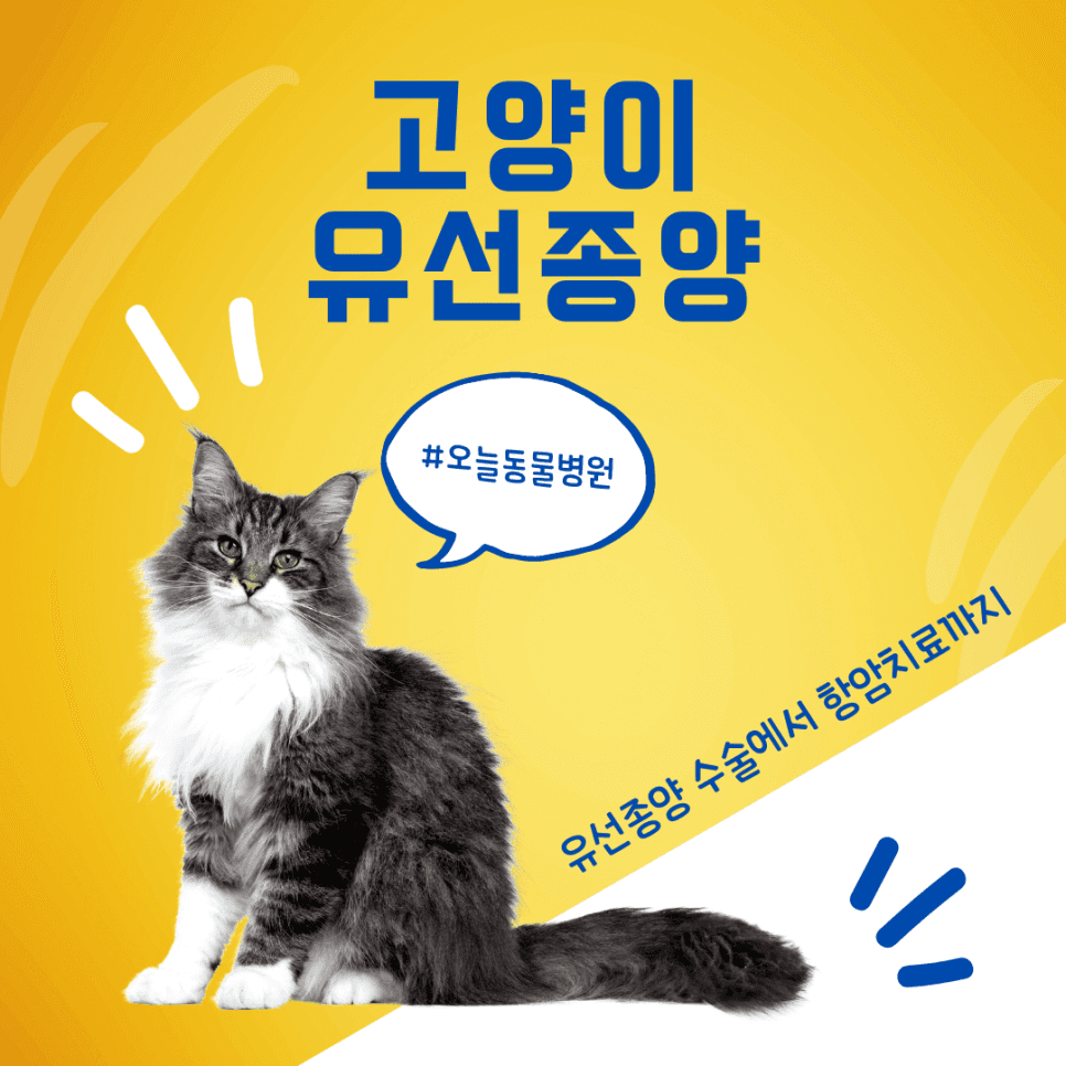 고양이 유선종양