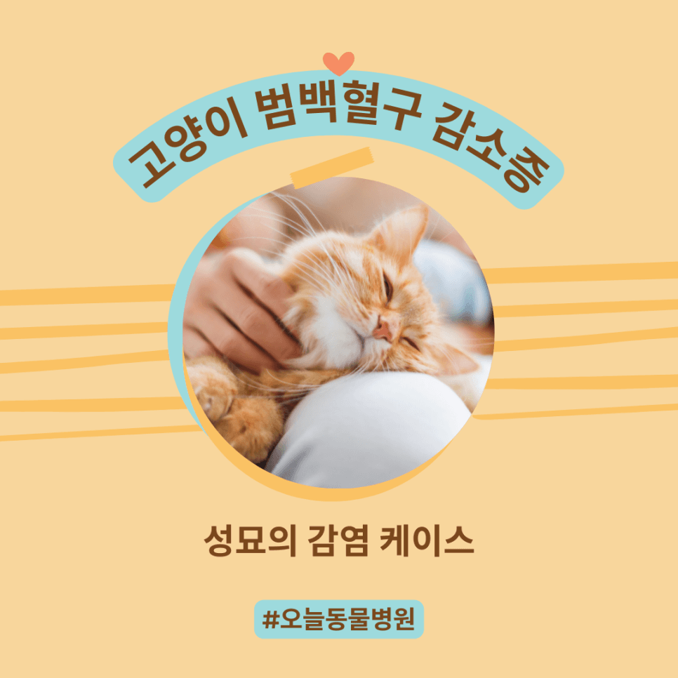 고양이 범백혈구 감소증