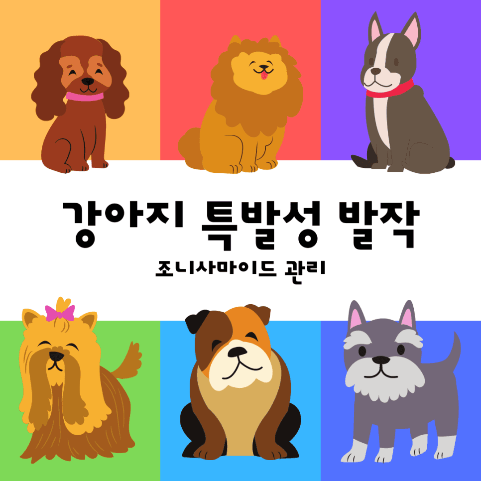 강아지 특발성 발작