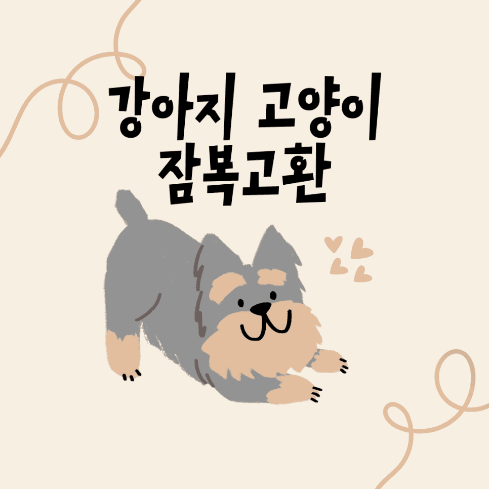 강아지 고양이 잠복고환