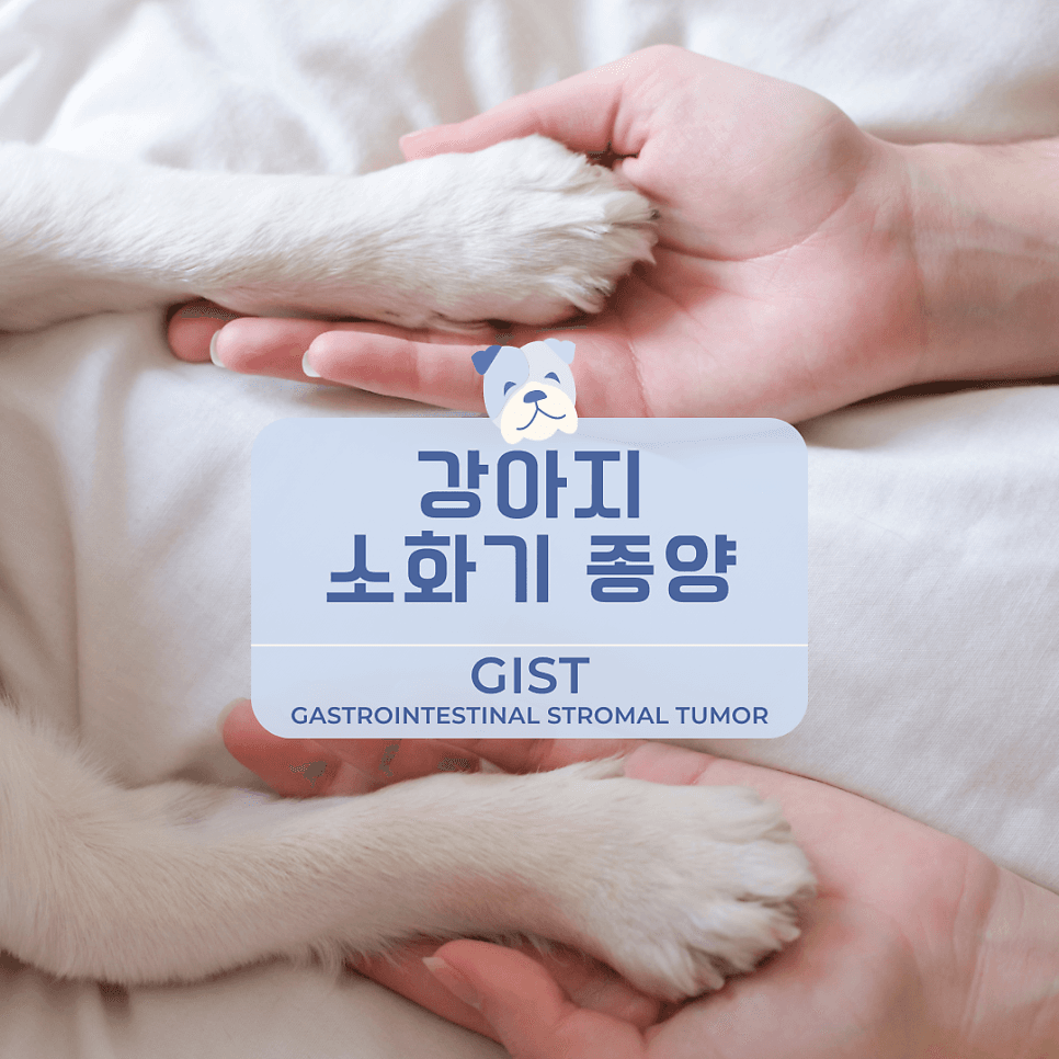 강아지 소화기 종양: GIST