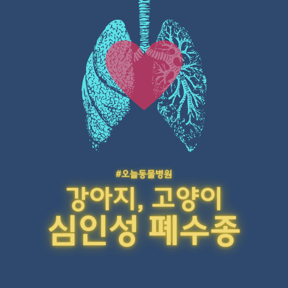 강아지 고양이 심인성 폐수종