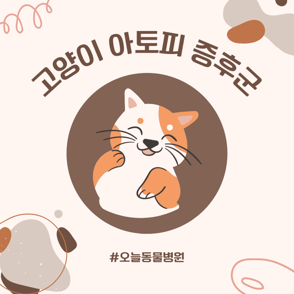 고양이 아토피 증후군