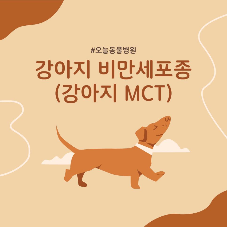 강아지 비만세포종