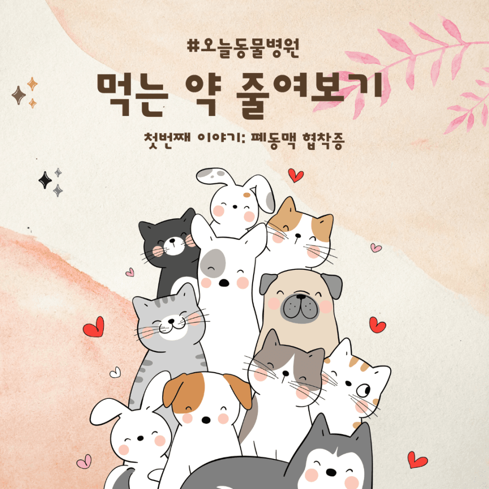 먹는 약 줄여보기: 강아지 폐동맥 협착증