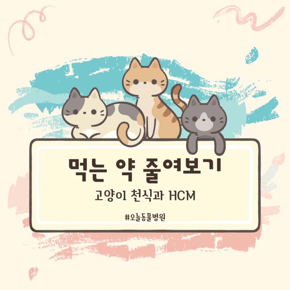 먹는 약 줄여보기: 고양이 천식과 HCM