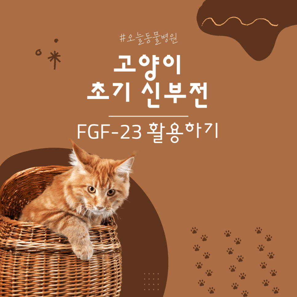 고양이 초기 신부전: FGF-23을 이용한 식이 관리