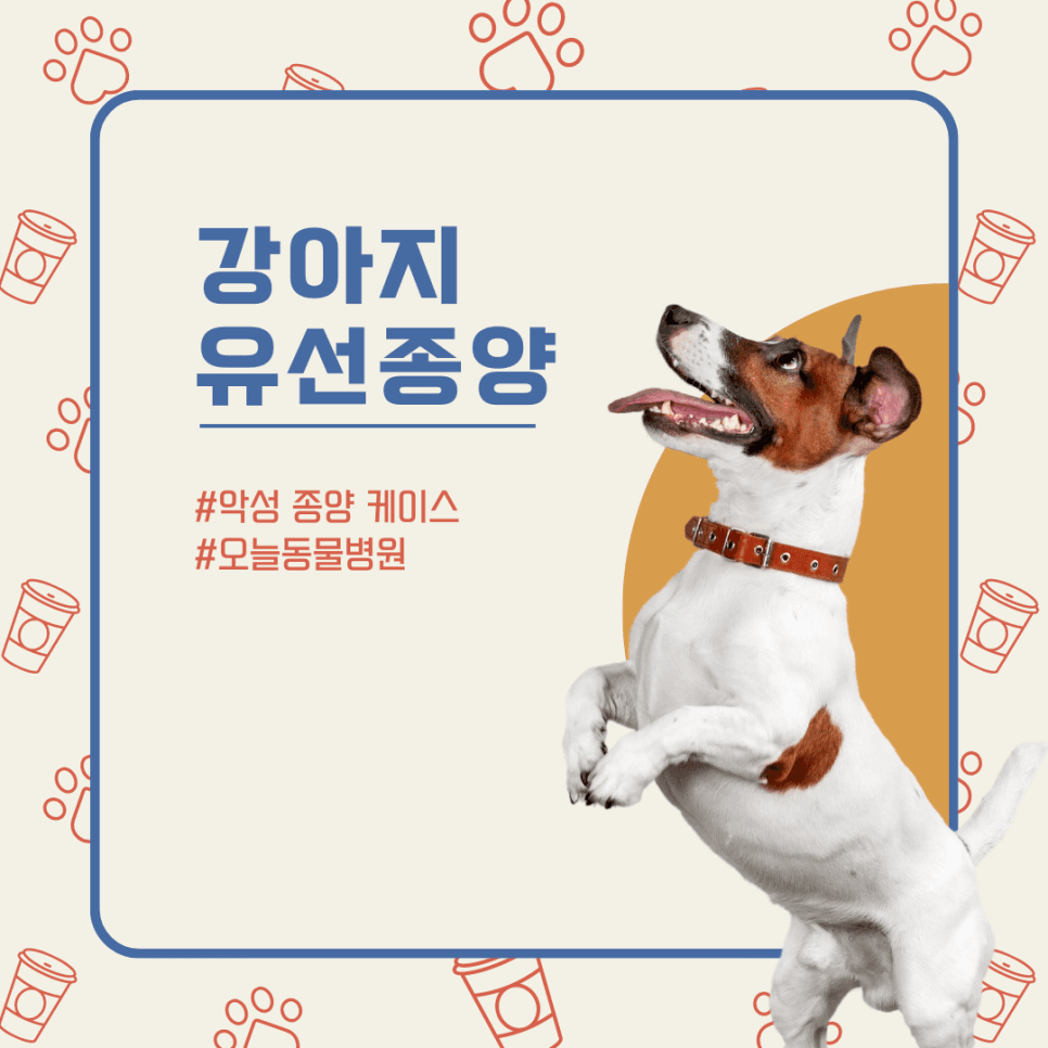 강아지 악성 유선 종양