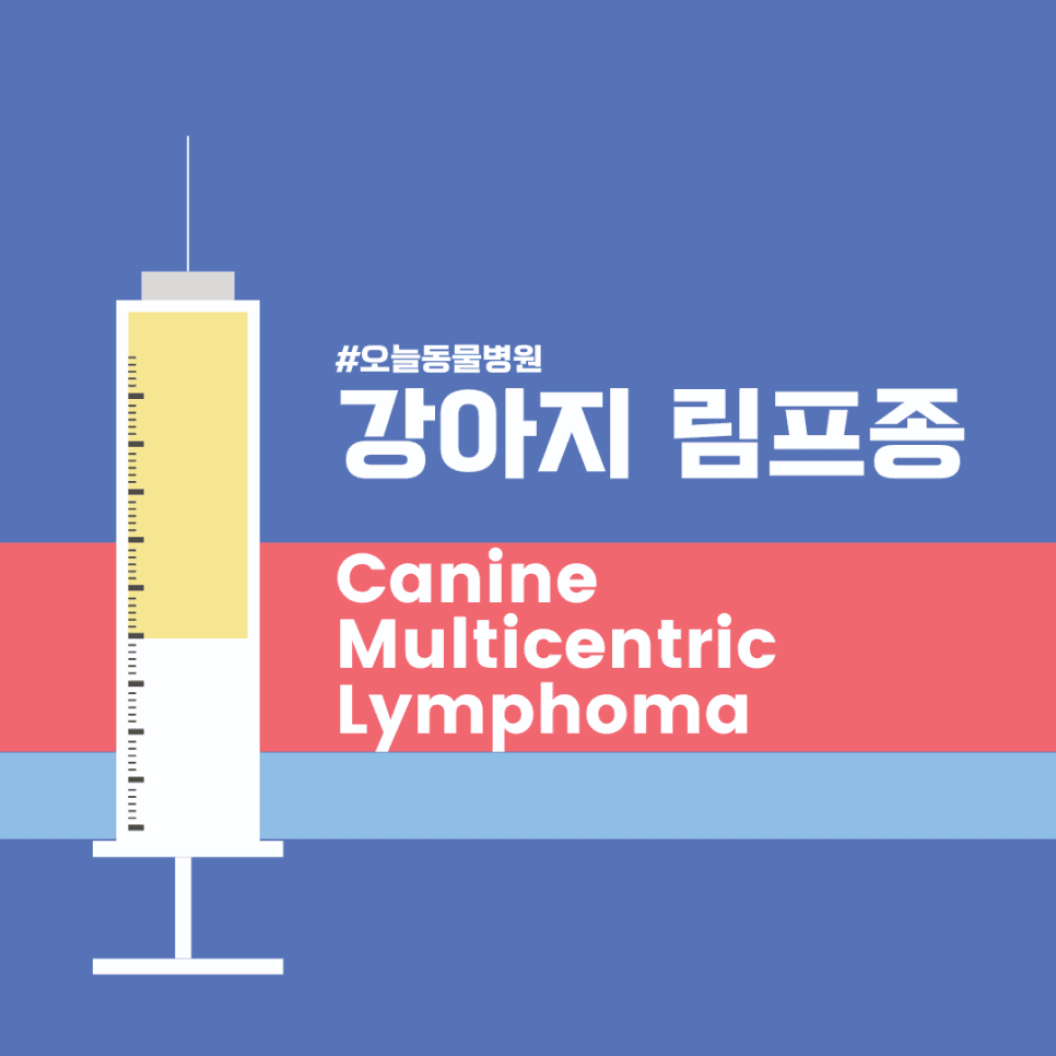 강아지 림프종