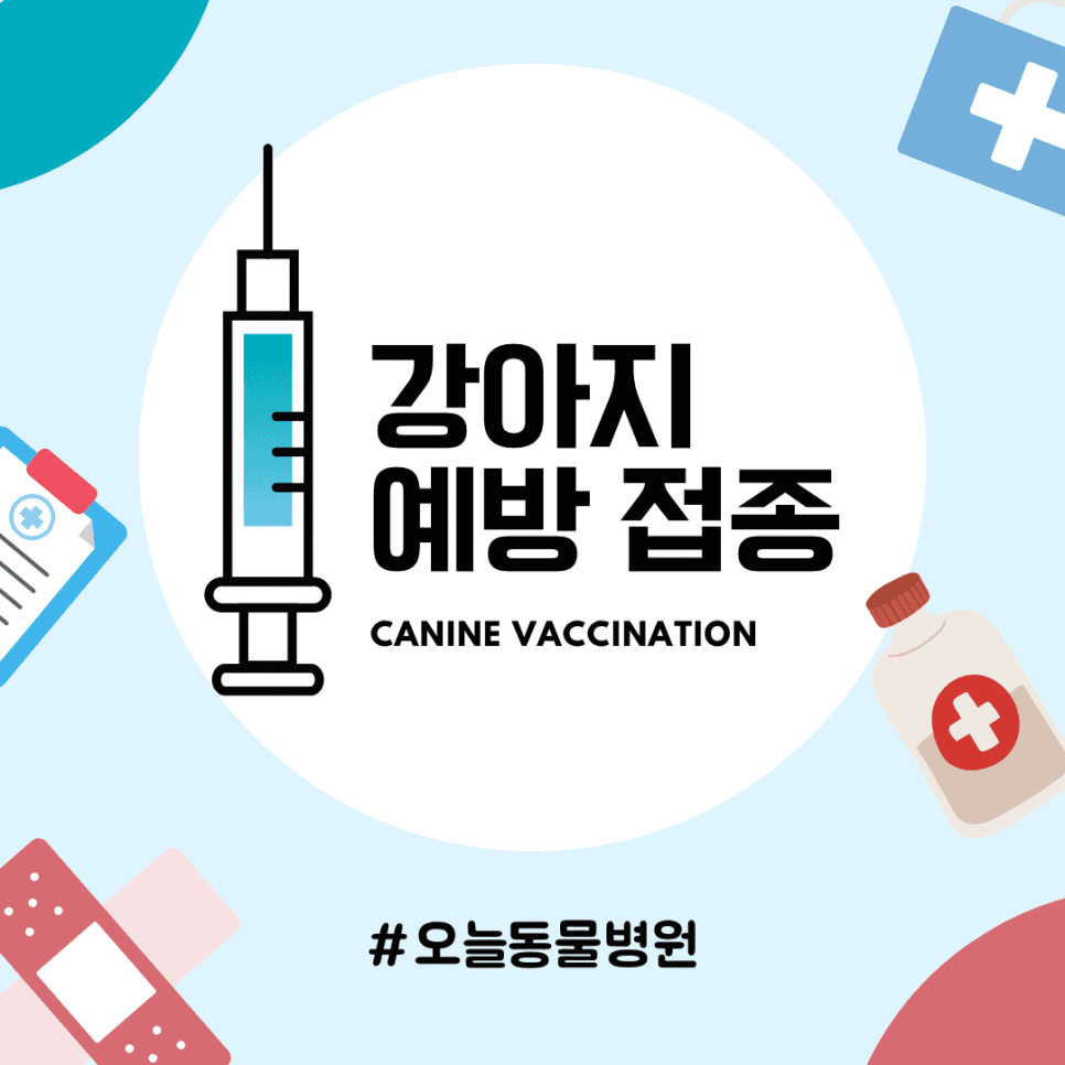 강아지 예방 접종