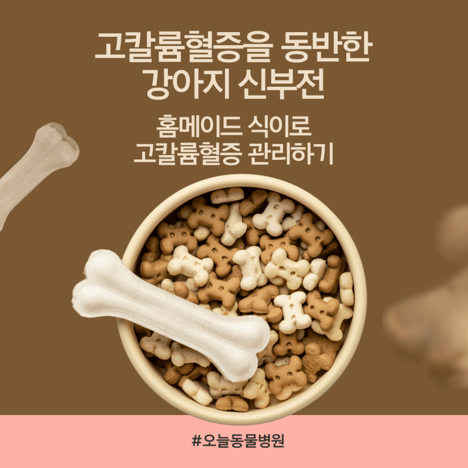 고칼륨혈증을 동반한 강아지 신부전