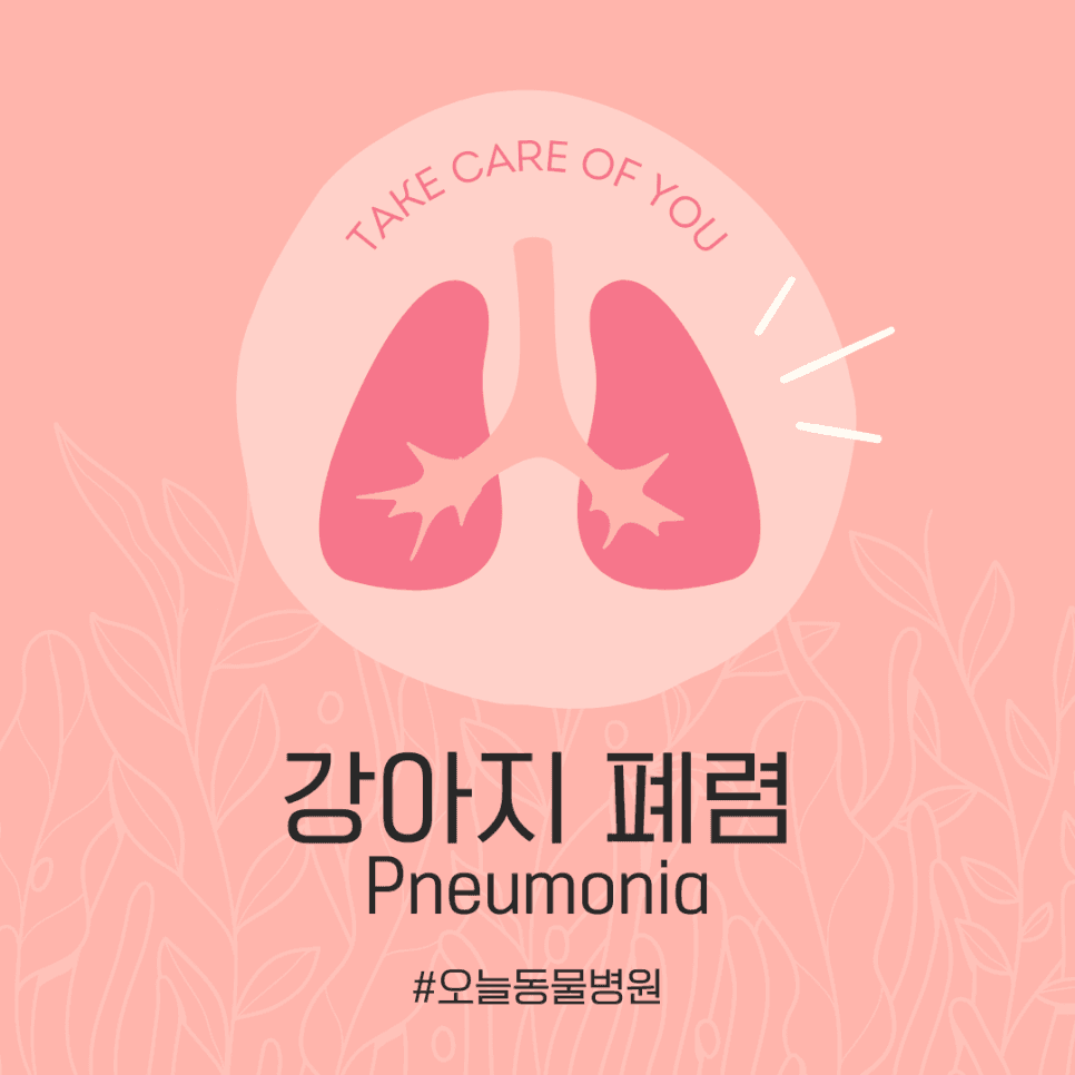 강아지 폐렴