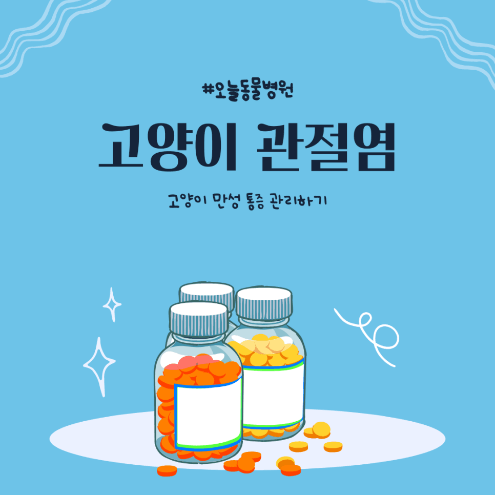 고양이 퇴행성 관절염
