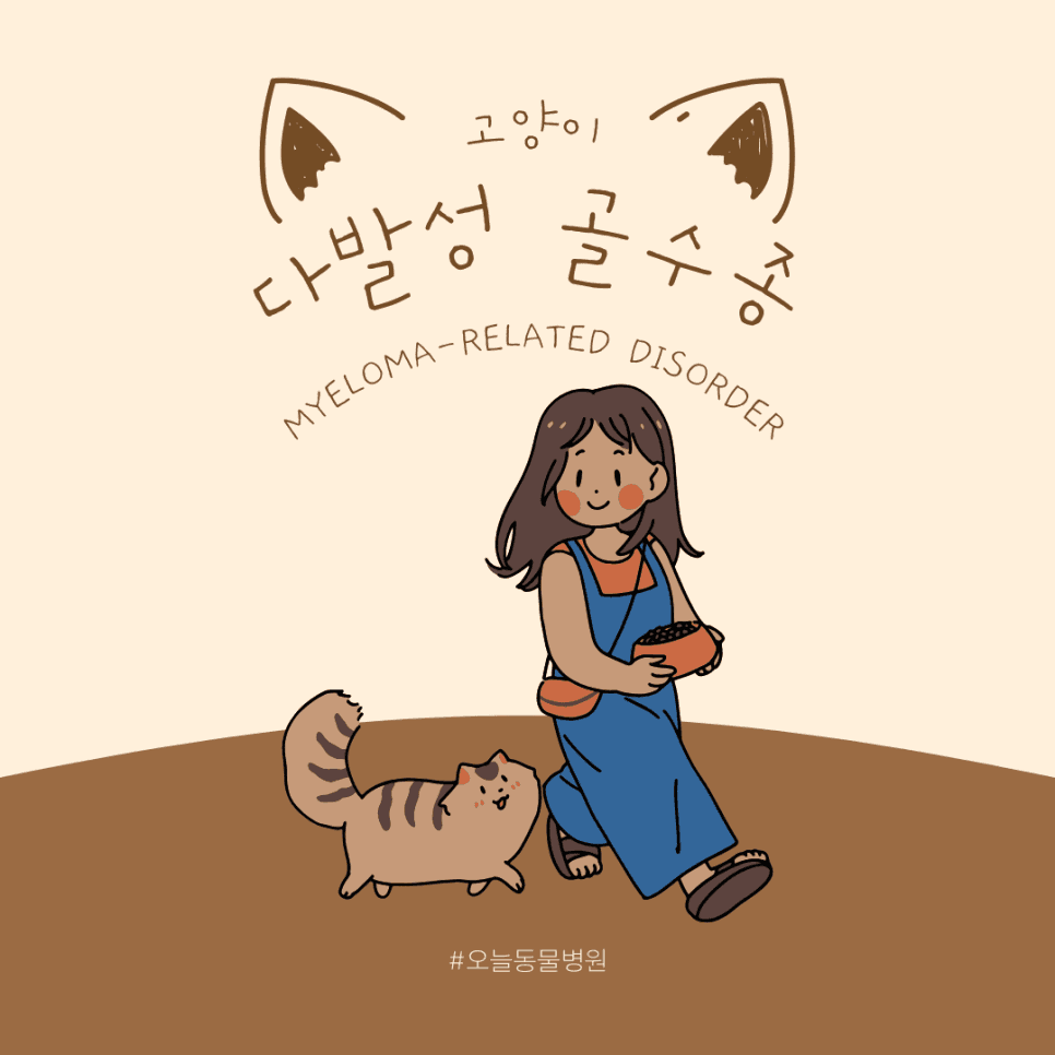 고양이 다발성 골수종(Myeloma-Related Disorder)