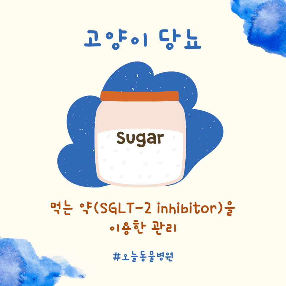 고양이 당뇨: 먹는 약을 이용한 당뇨 관리