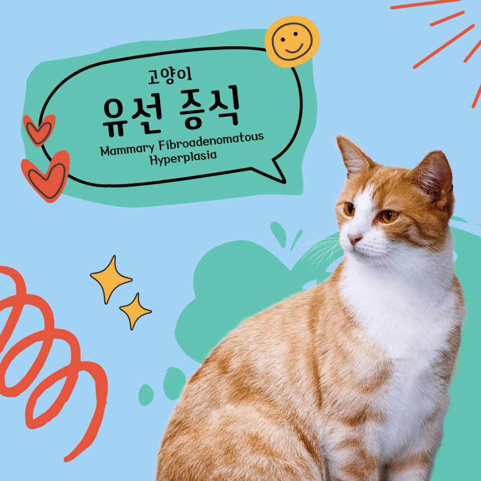 고양이 유선 증식