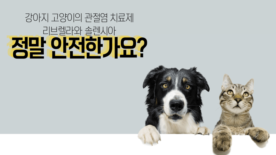 리브렐라와 솔렌시아, 정말 안전한가요?