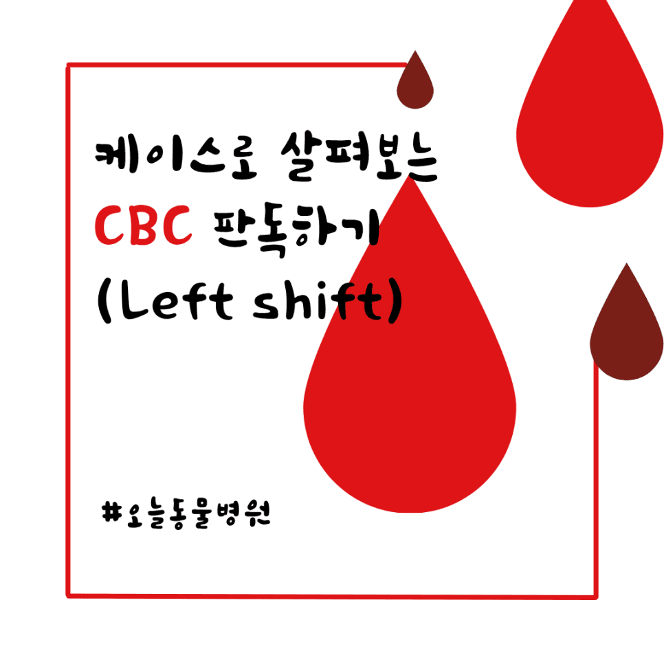 케이스로 살펴보는 CBC 판독하기